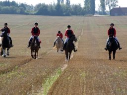 251511_10151090369133585_289658770_n